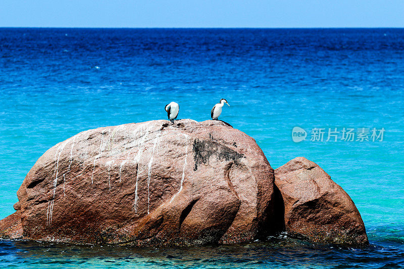 Dunsborough Meelup海滩。西澳大利亚珀斯